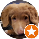 jvdl profile picture