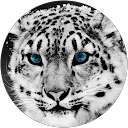 Ryan James profile picture