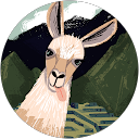 L Evelyn profile picture