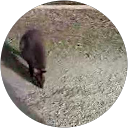 Jon C profile picture