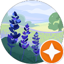 resilience profile picture