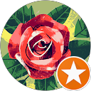 annie pan profile picture