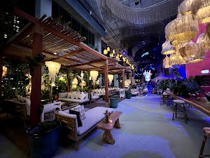 TRIBE Sky Beach Club place picture