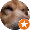Iris profile picture