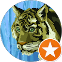Teebo profile picture