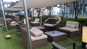 Vvertigo place picture