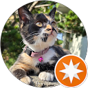 Sophie C. profile picture