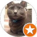 Jessica Ching profile picture