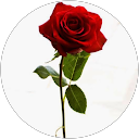 Waqas Sadaq profile picture