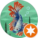 Simon profile picture