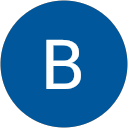 Bram van Velzen profile picture