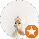 Suttikan Pannanontasak profile picture