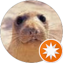 Paul Ciprian profile picture