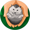 sereyboy67 profile picture