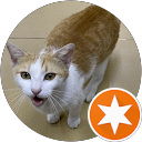 Qmok profile picture