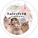 Fairyfold CATTERY profile picture