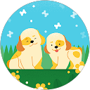 Danny Lim profile picture