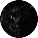 Premruedee Intana profile picture