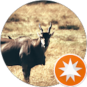 Lisa C. profile picture