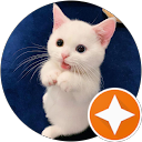 Novi Candra profile picture