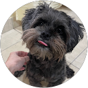 Cherry Shelby profile picture